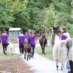 Dies & Das im Therapiehof Regenbogental