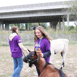 Dies & Das im Therapiehof Regenbogental